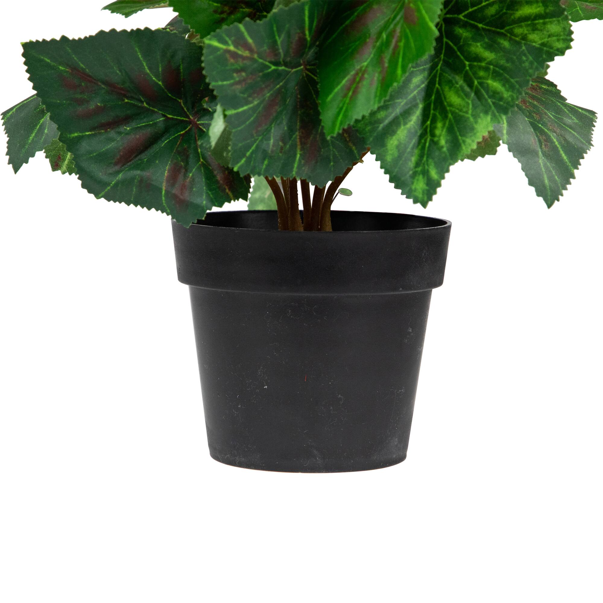 11" Cream Potted Silk Begonia Floral Arrangement
